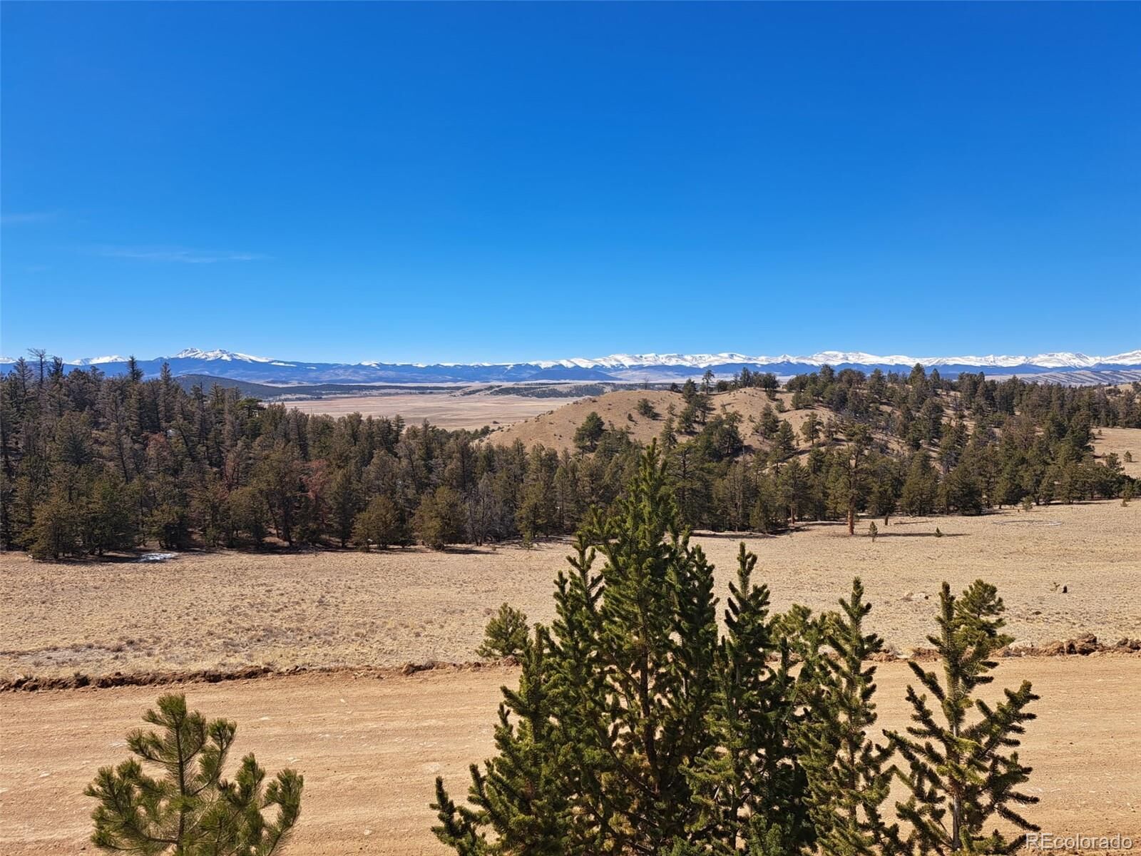Property Photo:  369 Summit Road  CO 80449 
