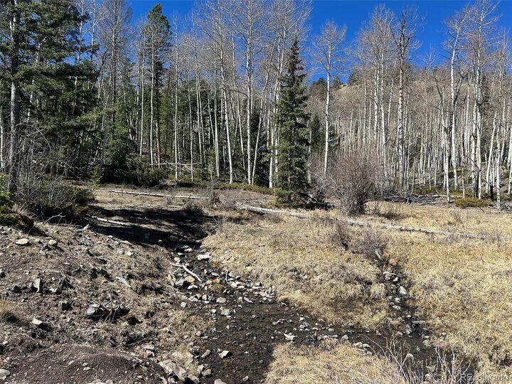 Property Photo: 13 Bonanza Road CO 81155