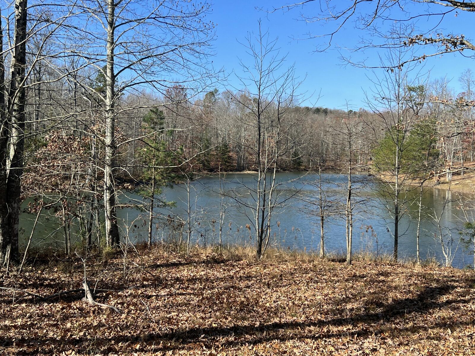 Property Photo:  337 Bluff View Drive  TN 37327 