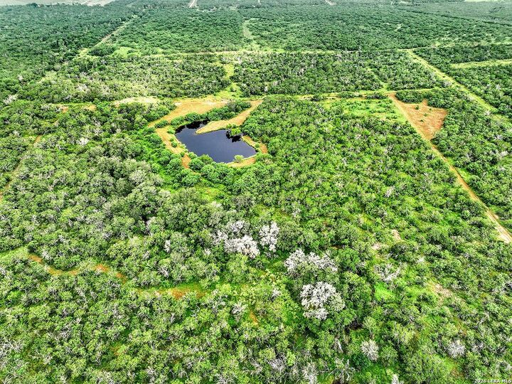 Property Photo:  1591 County Road 476  TX 78160 