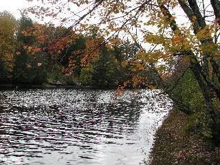 Photo de la propriété:  1260 Mathiasville Road  ON P1L 1X1 
