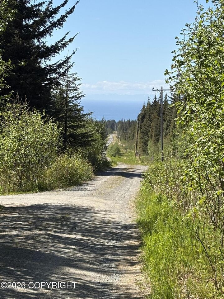 Property Photo: L3a Virginia Avenue AK 99603
