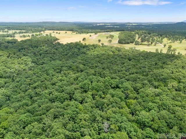 Property Photo:  40 Ac Cr 625  AR 72653 