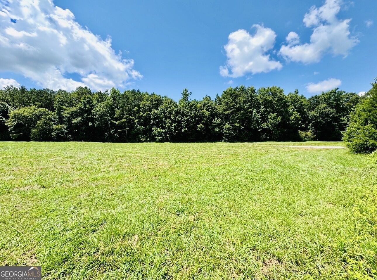 Property Photo:  0 Willowood Road  GA 30241 