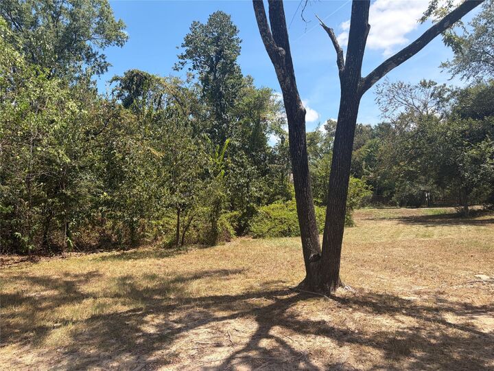 Property Photo:  9 Wolfhound Lane  TX 77380 