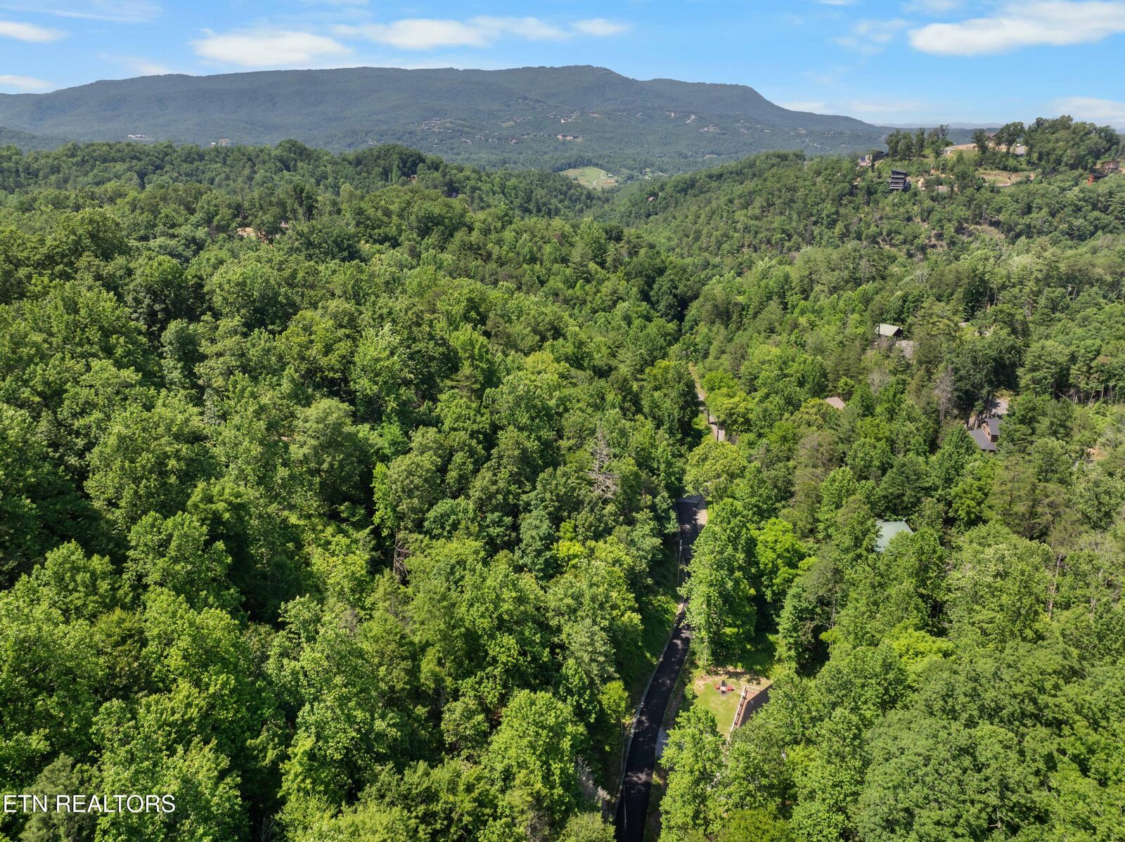 Property Photo:  Lot 28 Black Walnut Flats Rd  TN 37862 
