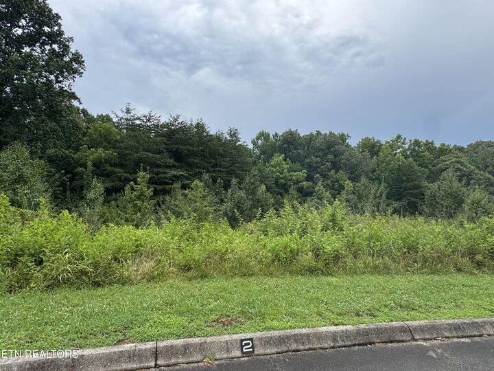 Property Photo: Lot 2 Malea Lane TN 37763
