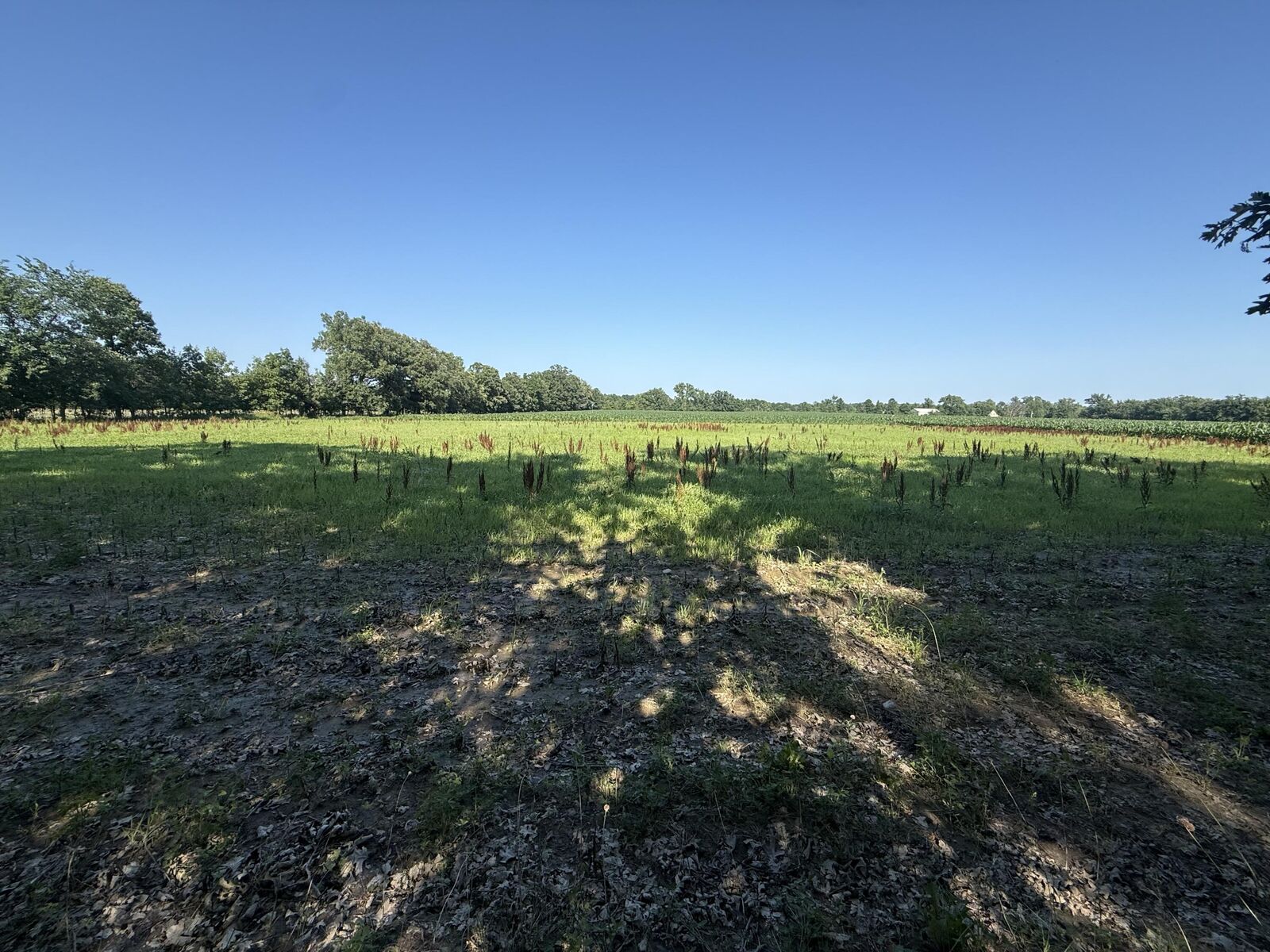 Property Photo: 1245 19th Street MI 49078