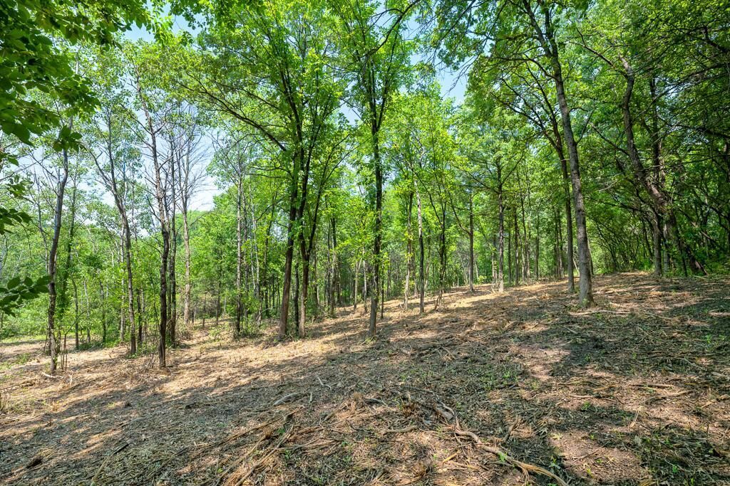 Property Photo:  Xxxx 82nd Street East  MN 55077 