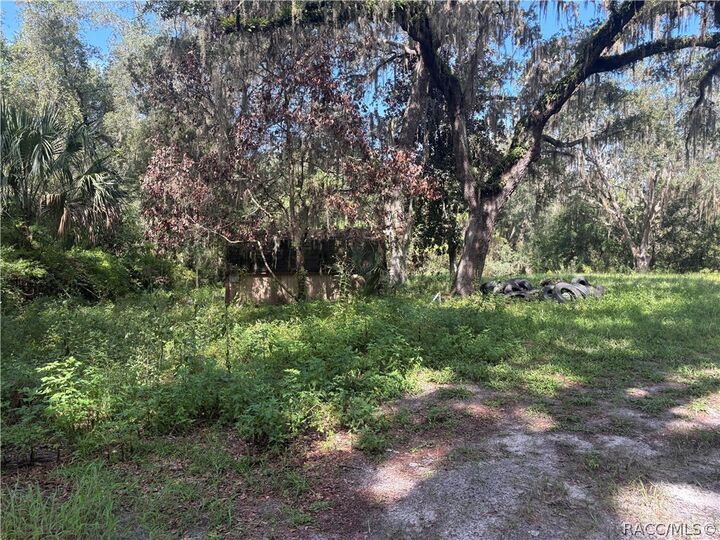 Property Photo: 00 NE 164 Lane FL 32113