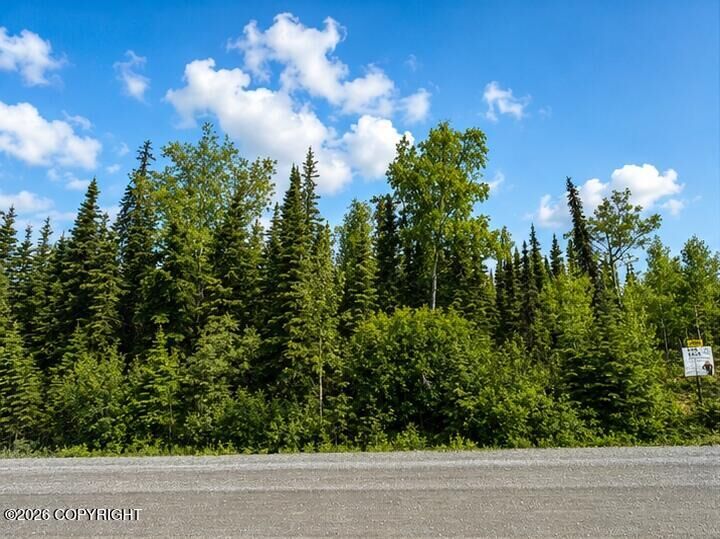 Property Photo: L4 Lake Road AK 99669