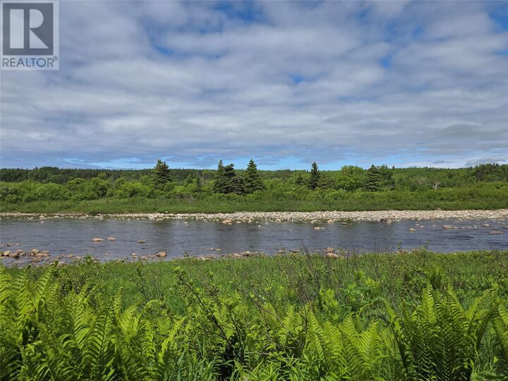 Property Photo:  0 Crabbs River Road  NL A0N 1Z0 