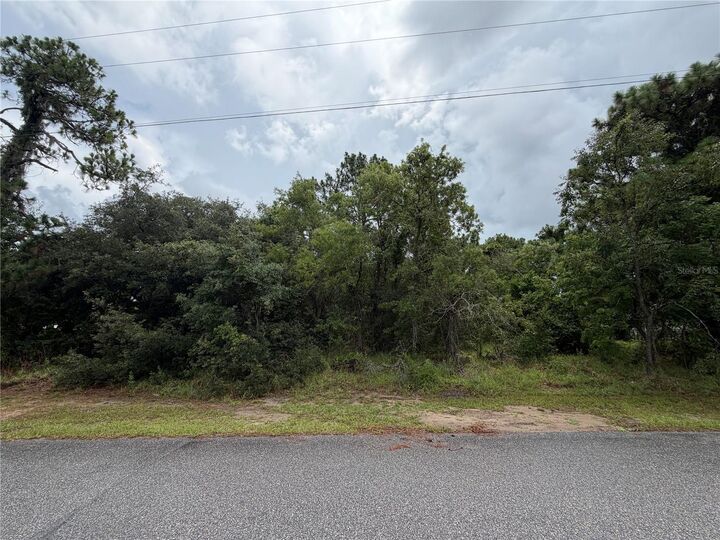 Property Photo: Corydon Avenue FL 34609