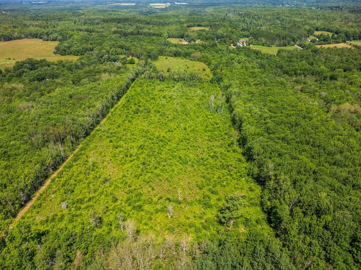 Property Photo:  Vacant Land Torbrook Road  NS B0P 1R0 