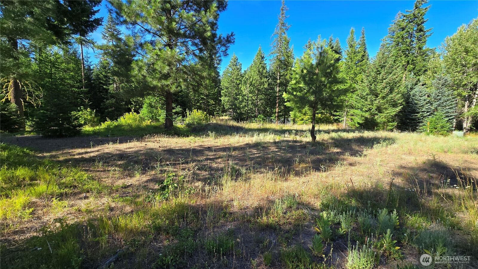 Property Photo: 3 -Lots Westside Rd WA 98922