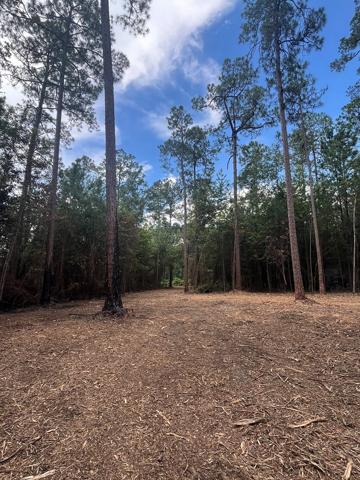 Property Photo:  00 Sanford Road (3 Acres)  GA 31757 