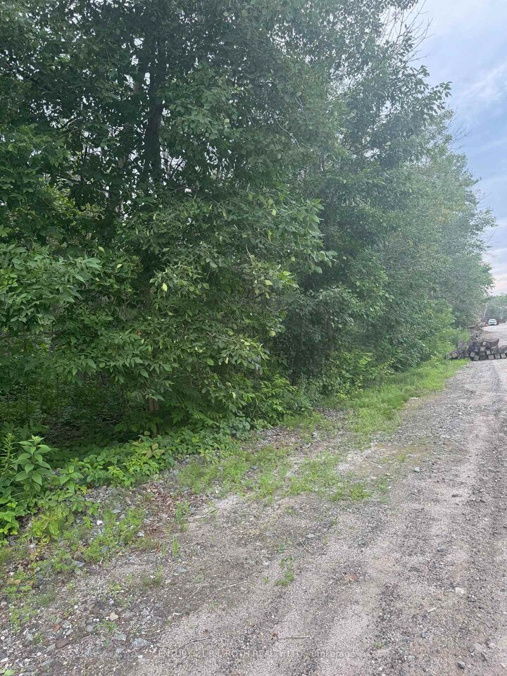 Property Photo:  3330 Quetton Street  ON L0K 2B0 
