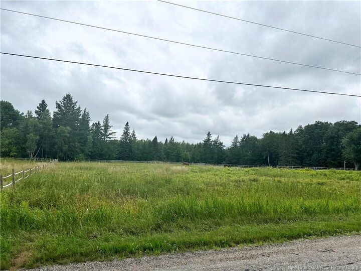 - Collina Road — photo 1