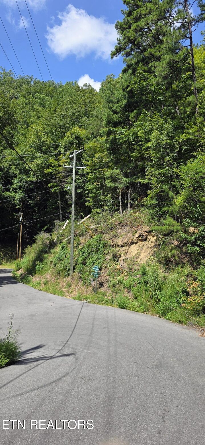 Property Photo:  Lot 1 Black Walnut Flats Rd  TN 37862 