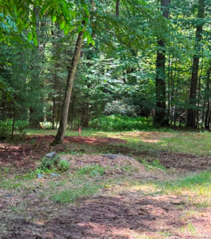 Property Photo:  143 Mountaindale Road  NY 12435 