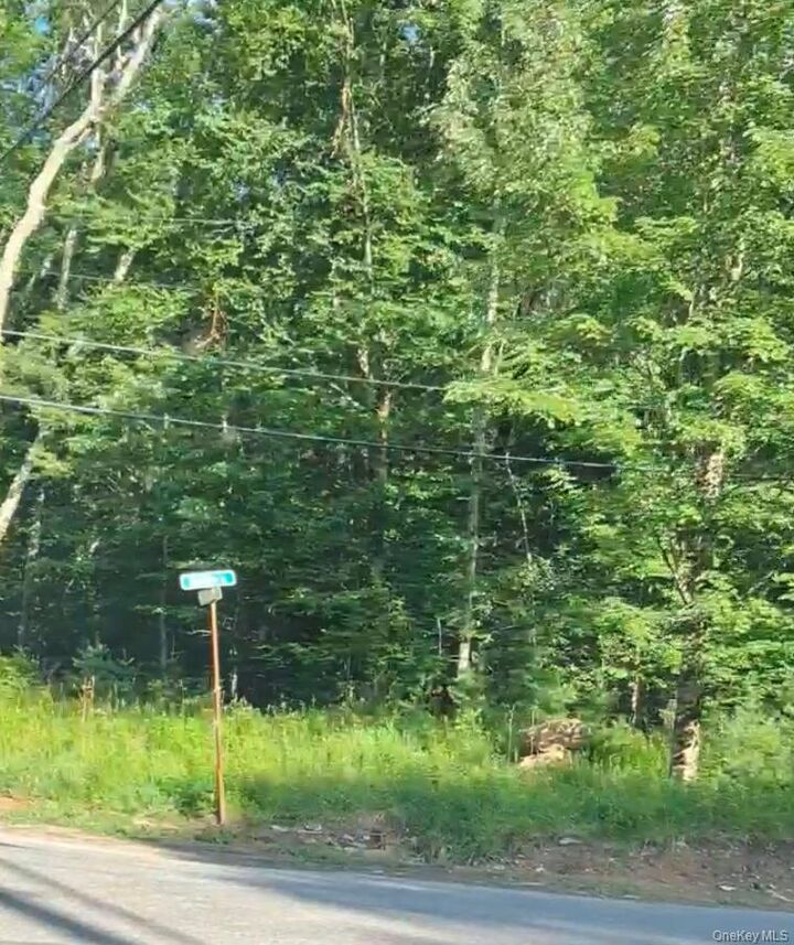 Property Photo: 143 Mountaindale Road NY 12435