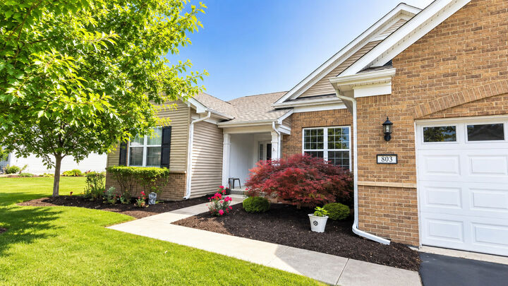 Property Photo: 803 Glory Court 1 IL 60404