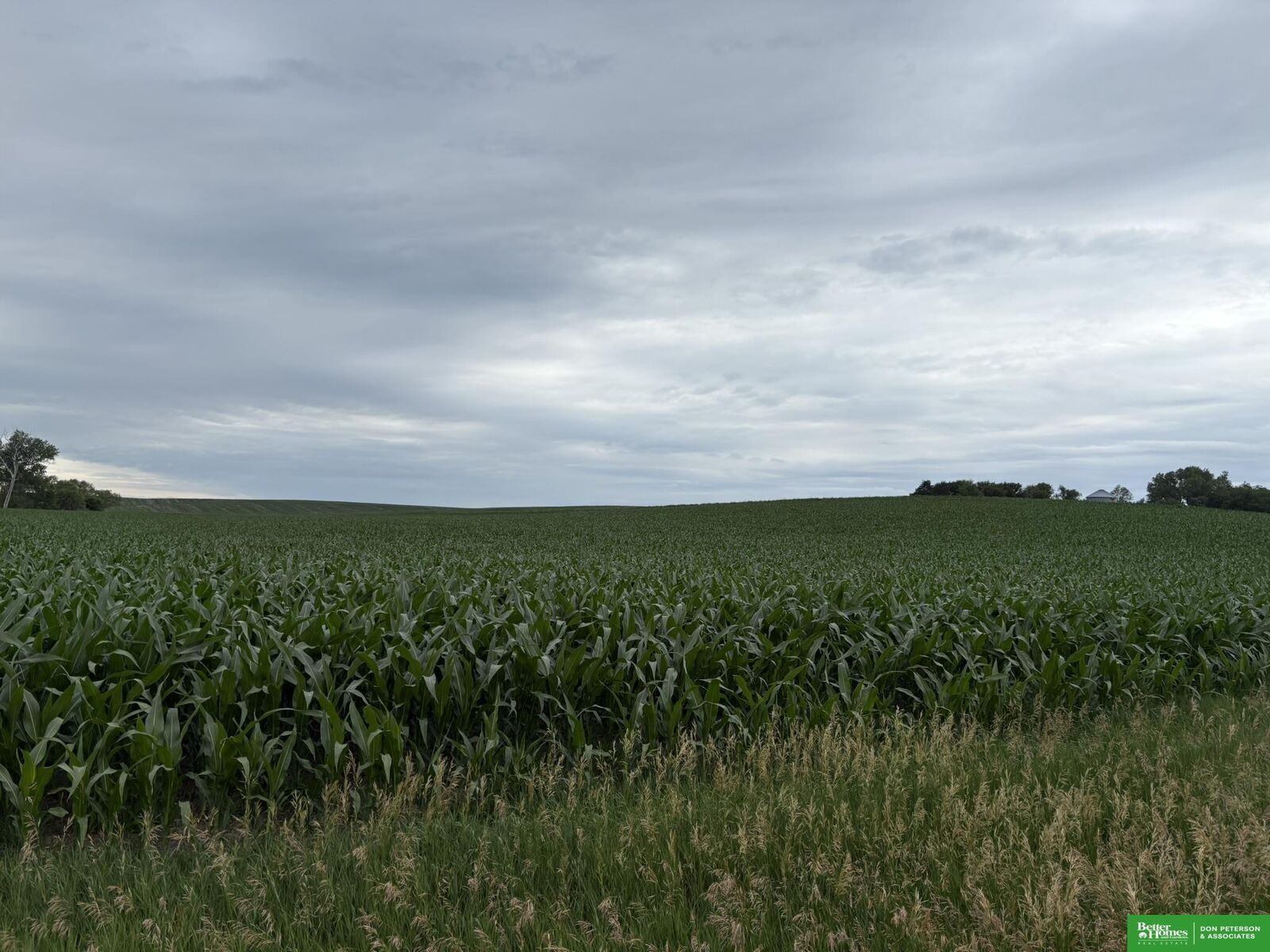 Property Photo:  88 Acres County Road  NE 68019 