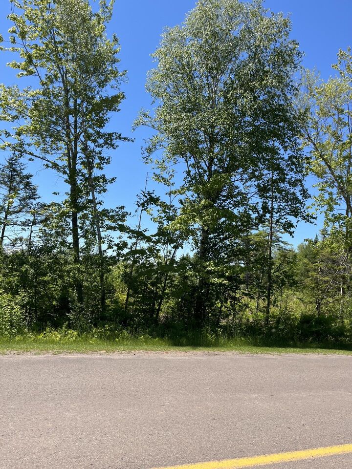 Property Photo: Lot 2026-2 Taranrum Road PE C1B 3H6
