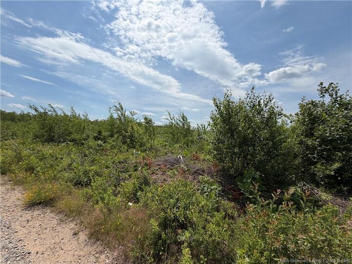 Property Photo:  Lot 4 O'Keefe Road  NB E1V 6J3 