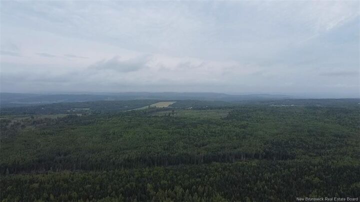 Off Drurys Cove Road — photo 1