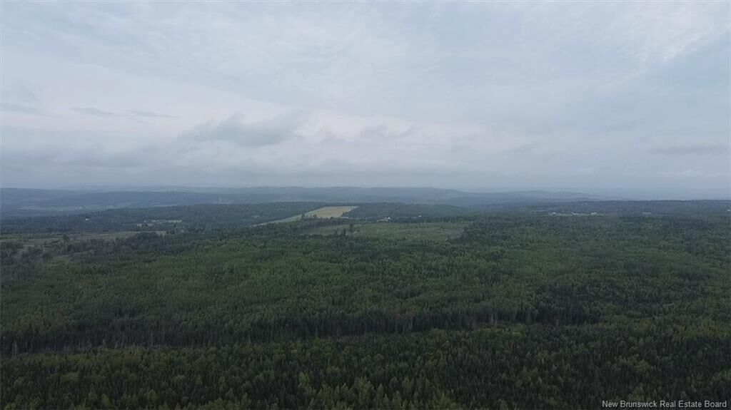 Property Photo:  Off Drurys Cove Road  NB E4E 3K9 