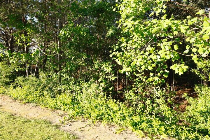 Property Photo: 0 Hollyhock Lane GA 30132