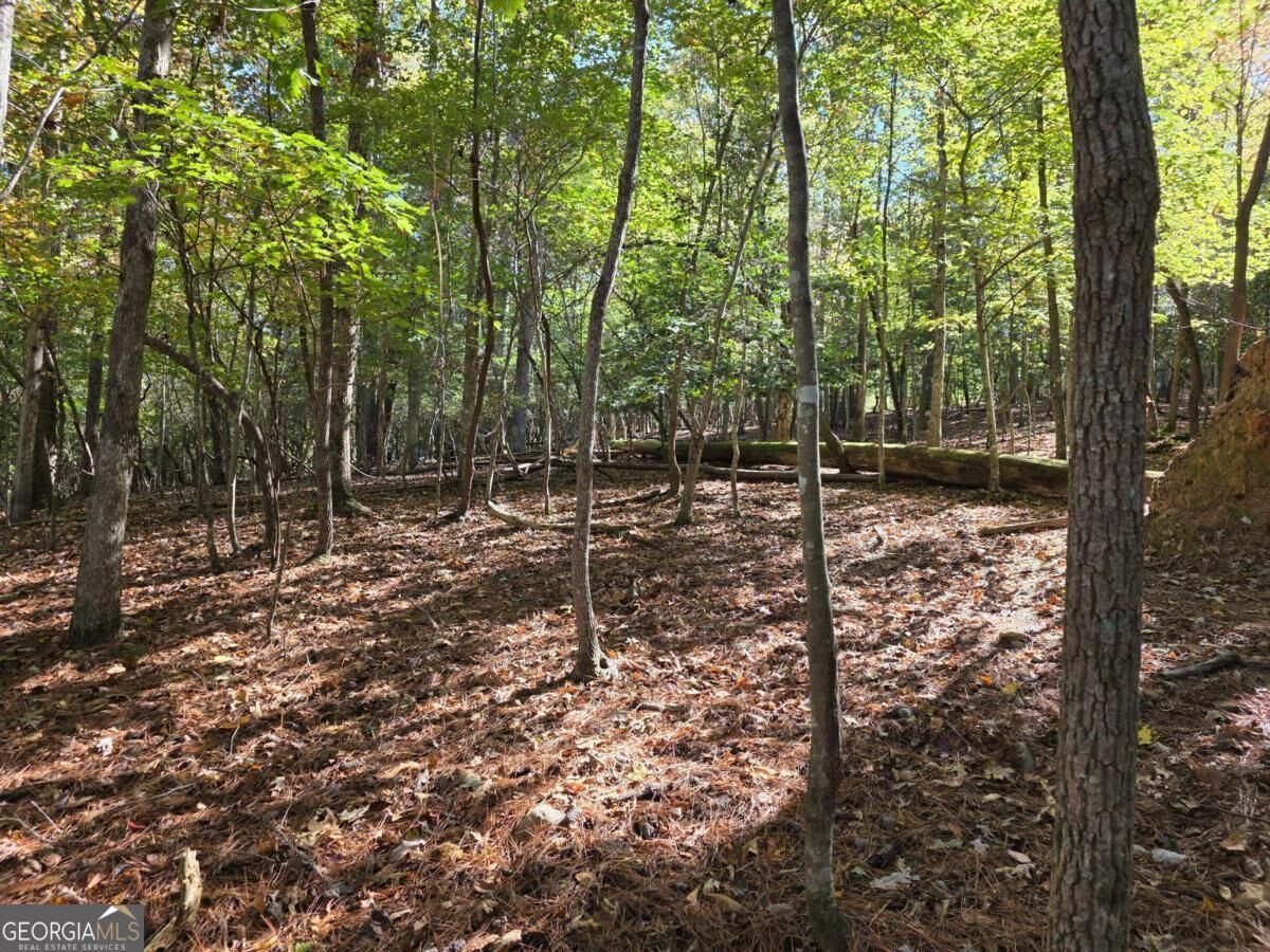 Property Photo: Lot #385 Zenith Trail 385 GA 30540