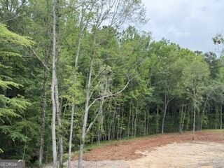 Property Photo:  2180 Dunn Rd Road  GA 30258 
