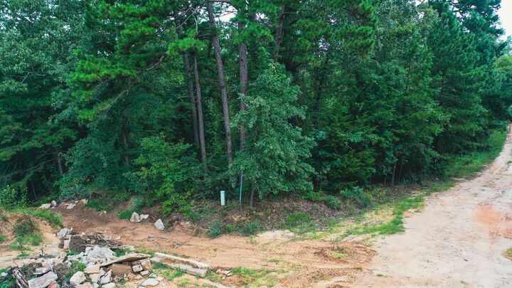 Property Photo:  Tbd Hickory Dr  TX 75651 