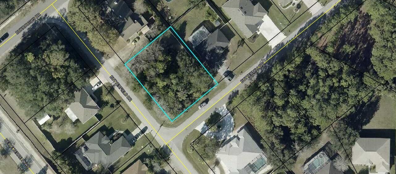 Property Photo:  70 Buttermill Drive  FL 32137 