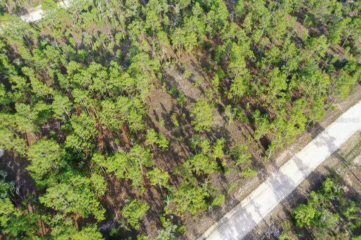Property Photo: 0000 NE 131 Lot 7 Terrace FL 32696