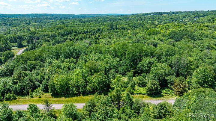 Property Photo:  Tbd Parcel M17 Applewood Drive  MI 49931 