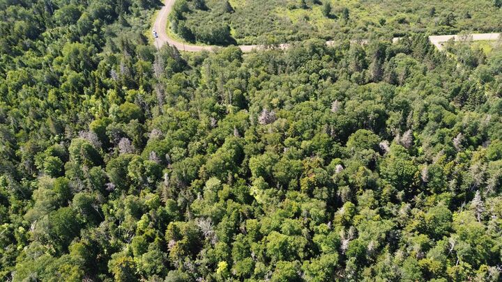 Property Photo:  Lot Old Baxter Mill Road  NS B0P 1H0 