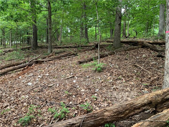 Property Photo:  Lot 5 Sheidaig Lane  AR 72715 