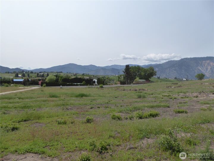 Property Photo: 5 Roses View Lane WA 98831