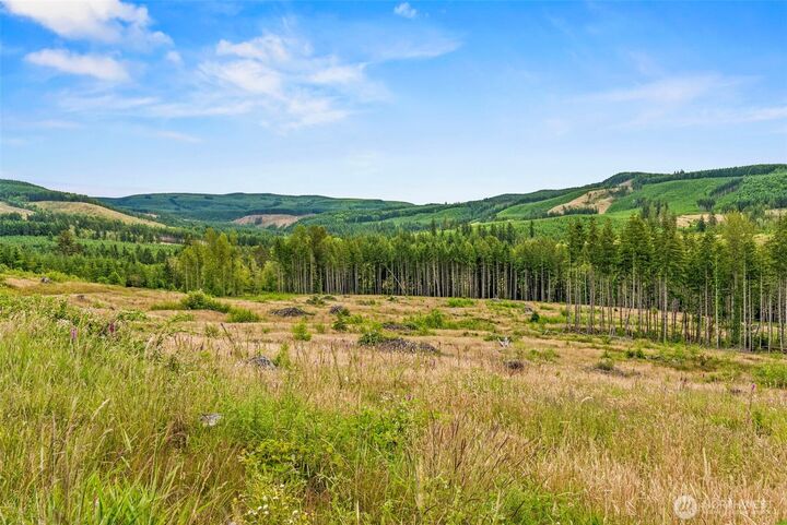 Property Photo: 4 Lot 4 Parker Road WA 98649