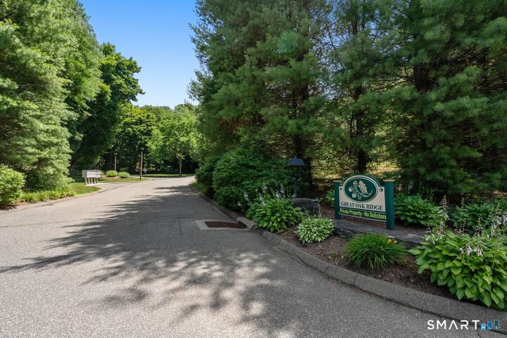 Property Photo:  11 Summer Brook Way 11  CT 06483 