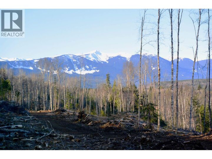 Property Photo:  Dl 811 16 Highway  BC V0J 2J0 