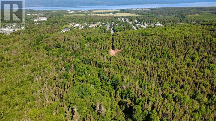 Property Photo:  62C Tamarack Avenue  NL A0L 1K0 
