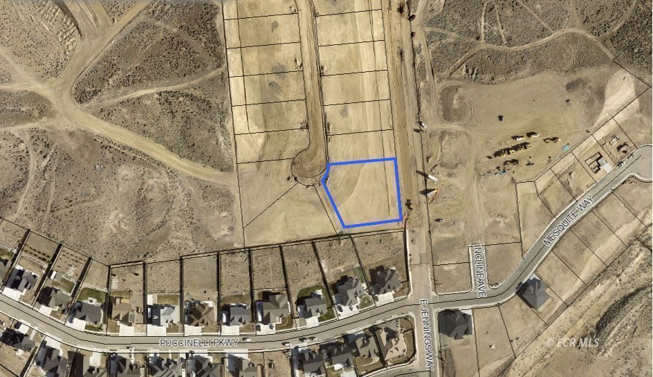 Property Photo:  2950 Lacomte Court  NV 89801 