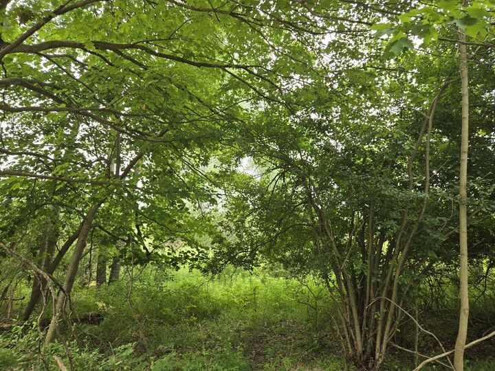 Property Photo:  13939 Taft Road  MI 49307 
