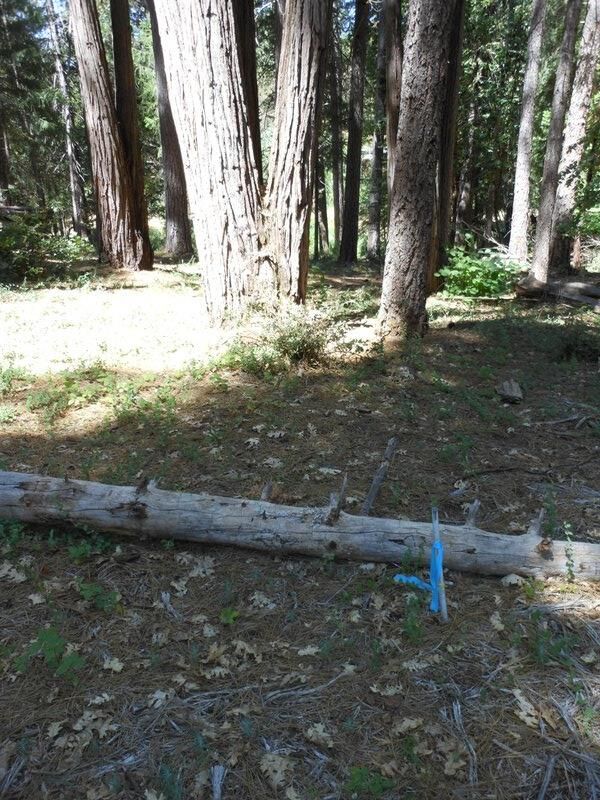 Property Photo: 11004 Sutter Way CA 95959