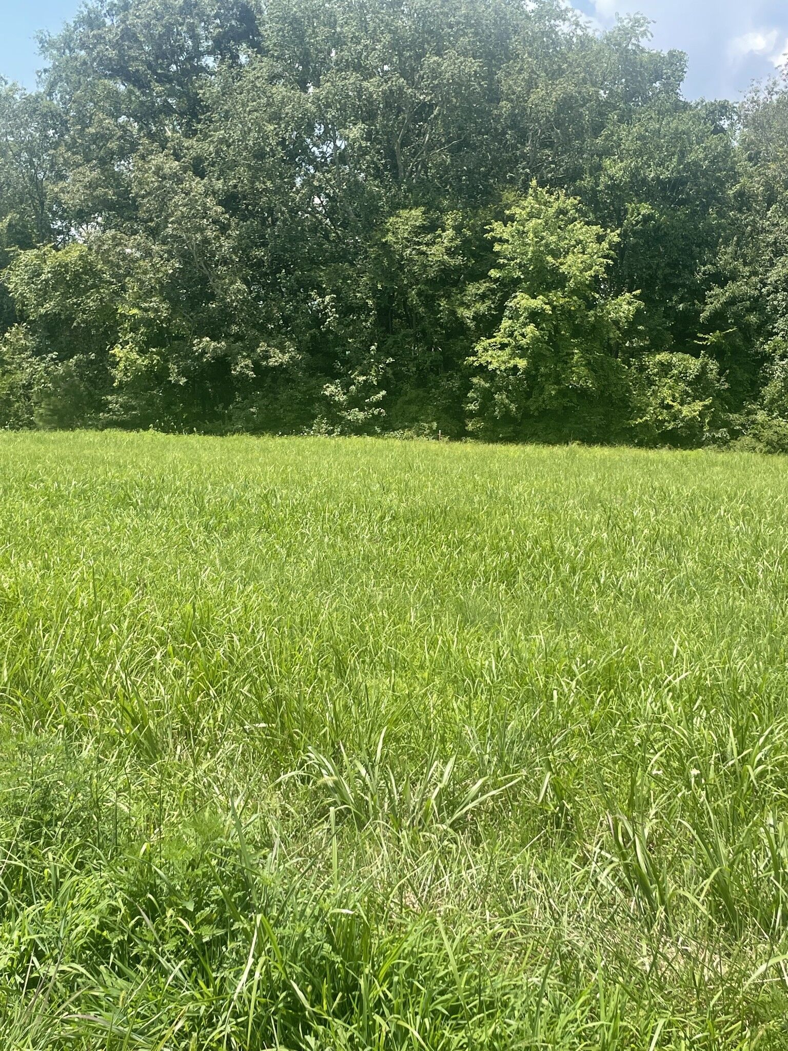Property Photo:  0 Summer Lake  TN 37398 