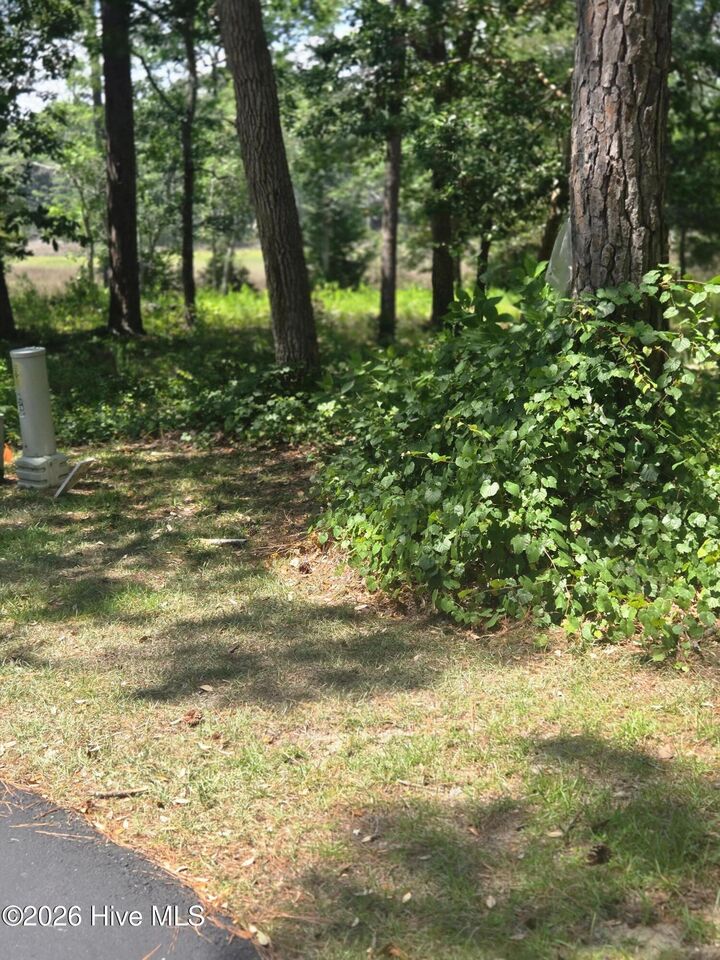 Property Photo: 3179 71 Mullet Creek Place SE NC 28422
